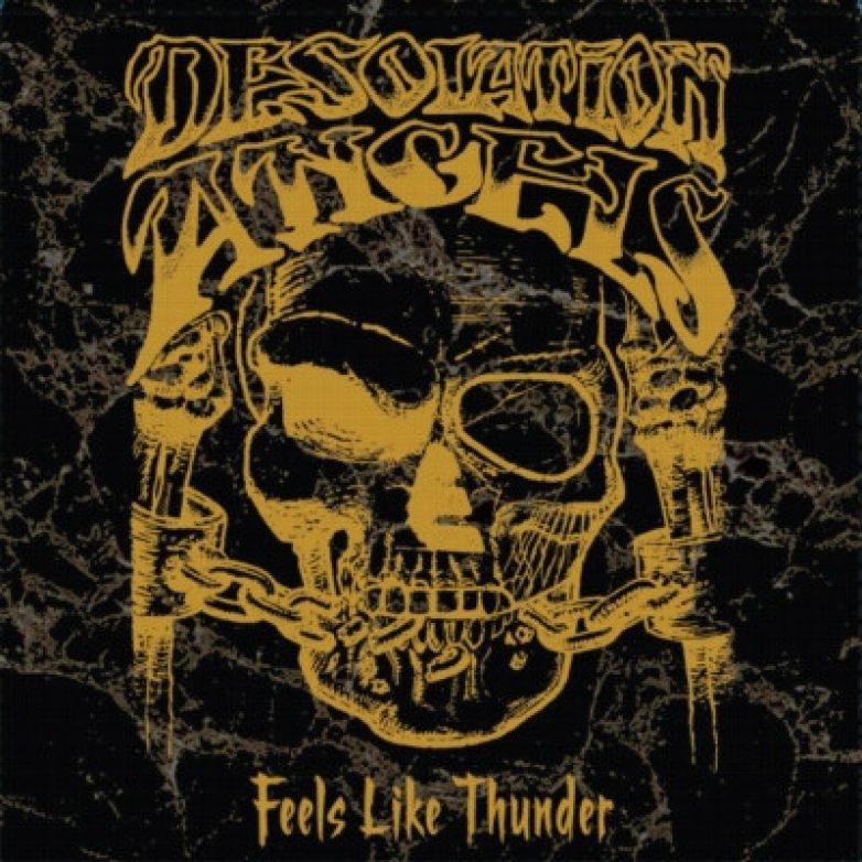 Desolation Angels – Feels Like Thunder 4box